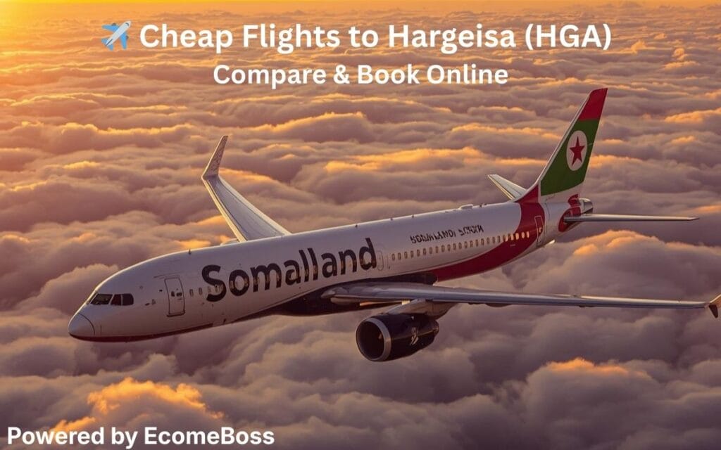 cheap flights to hargeisa hga airplane with somaliland branding